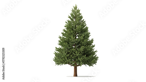 A digitally rendered green pine tree on a white background