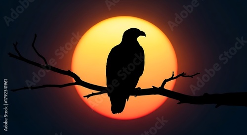 majestic bald eagle perches on a branch