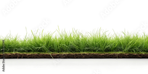 A patch of vibrant green grass with soil, , showcasing natures beauty and freshness in a clean and simple composition