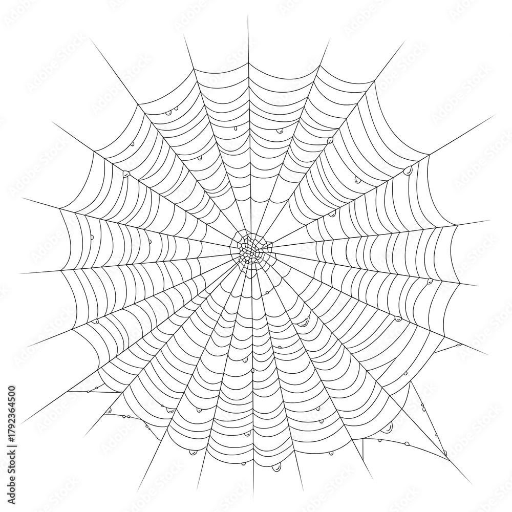 Obraz premium Intricate dew-kissed spiderweb design element