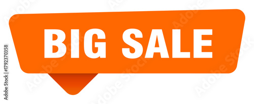 big sale sticker. big sale orange sign isolated on transpatent background