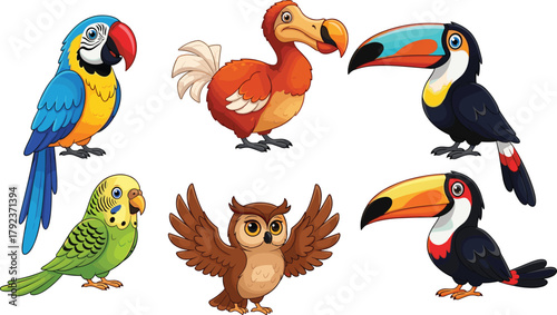 Colorful cartoon tropical birds collection, parrot, toucan, dodo, owl, budgie, exotic jungle animals, cute wildlife illustration set for design