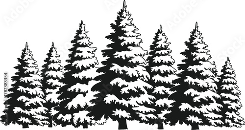 Winter pine forest silhouette, snowy evergreen tree illustration, nature landscape vector, black and white conifer woodland graphic design
