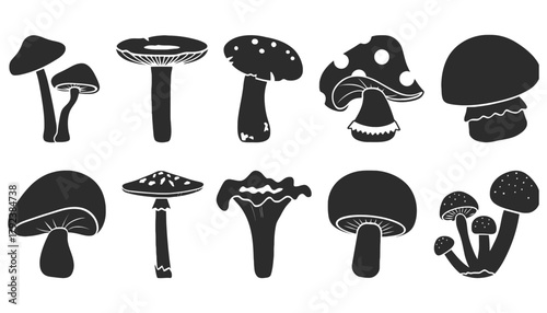 Mushroom vector set black and white different types of fungus
