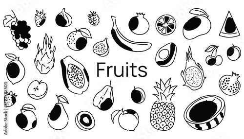 Watercolor fruits illustration assorted fruit vector graphic