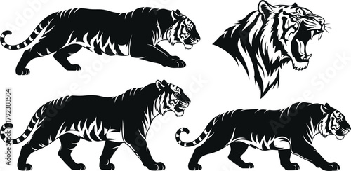 Tiger silhouette vector, roaring head, walking, prowling, standing, wild animal, black illustration, bold lines, fierce expression, wildlife design, graphic style