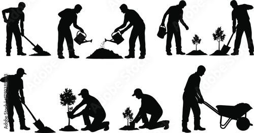Tree planting process, gardening silhouette vector, people digging, watering, fertilizing, using wheelbarrow, caring for sapling, outdoor activity, nature, teamwork, tools