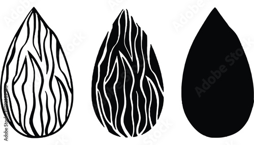 Almond nut vector illustration healthy food organic ingredient