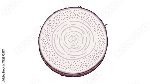 A topdown view of a sliced purple root vegetable with concentric rings