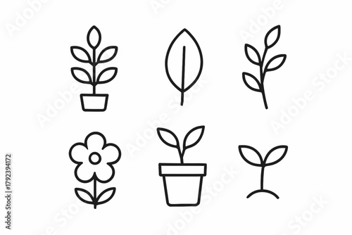 Minimalist plant and flower line art featuring leaves and seedlings