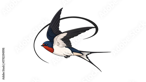 Barn swallow in flight with a black swirling line