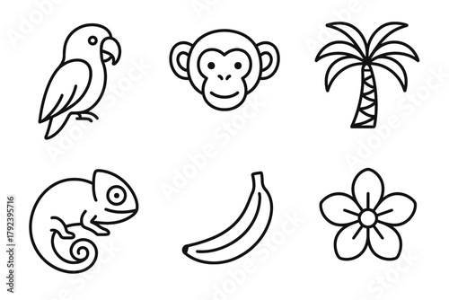 Outline icons of tropical animals and plants: parrot, monkey, palm, chameleon, banana, flower