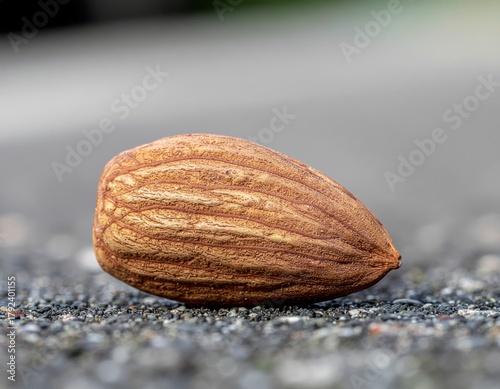 Close-up of an Almond