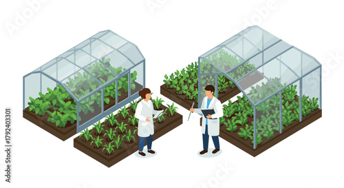 Isometric greenhouse farming with scientists analyzing plant growth in modern agriculture