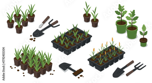Isometric gardening tools and seedlings in pots and trays for home garden enthusiasts