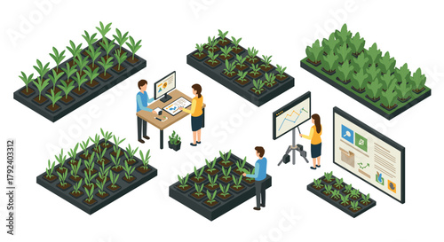 Isometric urban gardening with digital analysis for sustainable farming