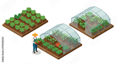 Isometric urban farming greenhouse and vegetable garden design