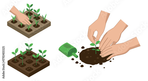 Gardening hands planting seedlings flat design garden illustration
