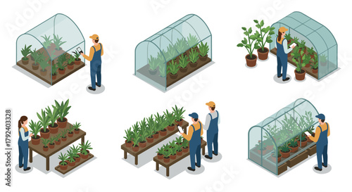 Isometric greenhouse gardening people caring for plants in various scenarios