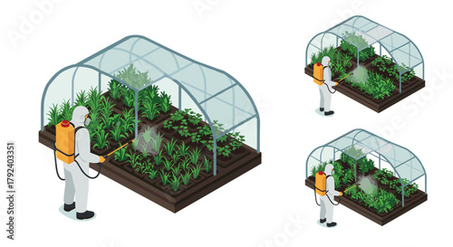 Isometric gardening greenhouse worker spraying plants with protective gear