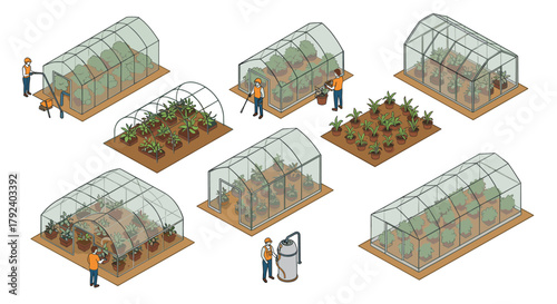 Isometric greenhouse farming with workers and plants