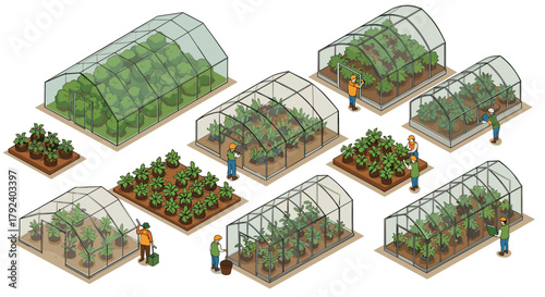 Isometric greenhouse farming with diverse vegetables and gardeners