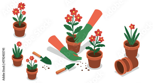 Gardening scene with potted flowers and tools in isometric style