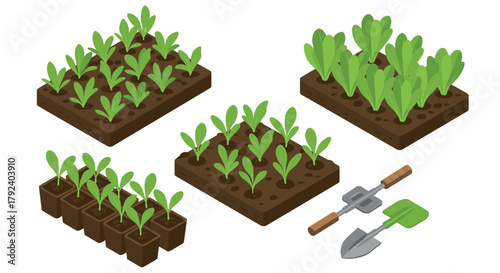 Isometric vegetable garden with seedlings and gardening tools in raised beds