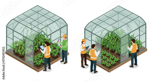 Isometric greenhouse gardening with workers and indoor plants