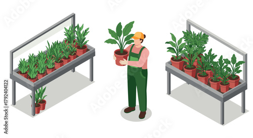 Gardener holding potted plant in greenhouse with tropical foliage and metal shelves