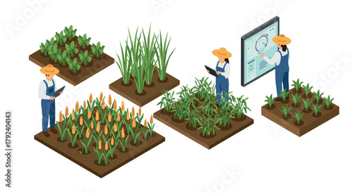 Farmers using technology in modern agriculture with digital analysis on isometric smart farm
