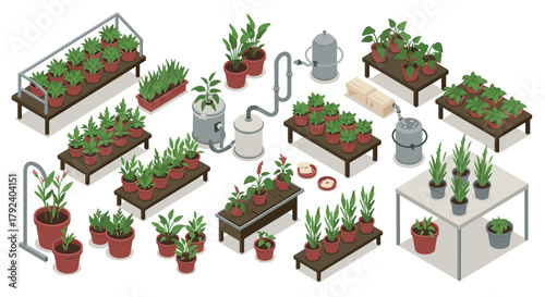 Isometric indoor garden with potted plants and hydroponic equipment