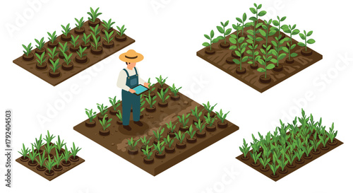 Isometric farming scene with farmer using tablet in crop fields