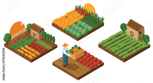 Isometric farming scenes with crops and barns in vibrant colors