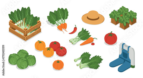 Fresh harvest icons featuring vegetables, herbs, and gardening tools in isometric design