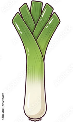 fresh leek