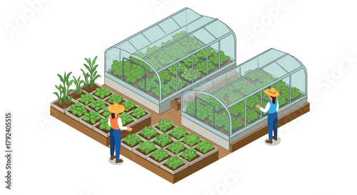 Isometric garden with greenhouses and farmers cultivating vegetables