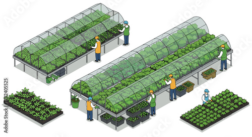 Modern isometric greenhouses with workers tending plants and crops indoors