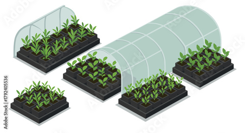 Isometric greenhouse with raised garden beds and growing plants