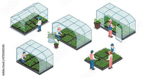 People working in greenhouses with plants in isometric design