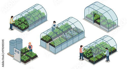 Isometric greenhouse farming scene with gardeners and vegetables in all seasons