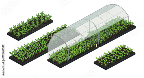 Greenhouse and garden beds in isometric style vibrant vegetation for sustainable farming and horticulture design