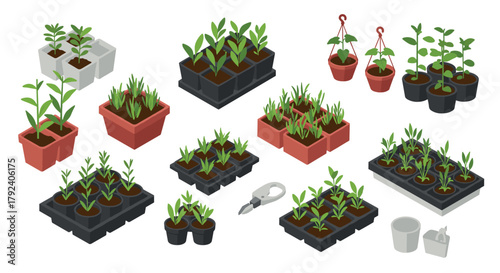 Isometric seedling trays and potted plants for indoor gardening projects