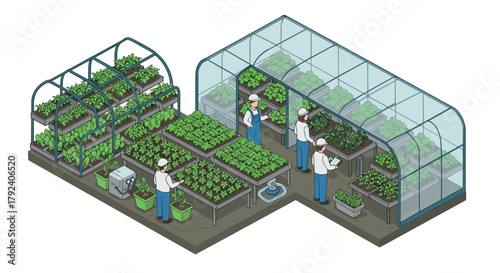 Isometric greenhouse with farmers caring for diverse plants