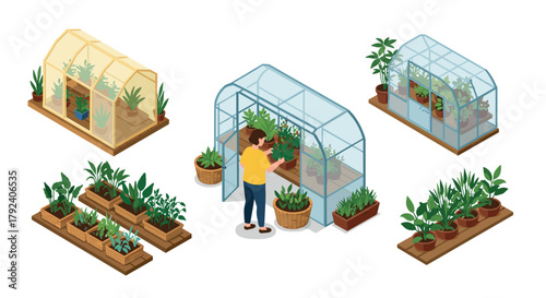 Isometric greenhouse gardening with potted plants and raised beds
