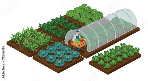 Modern isometric farming with greenhouse and diverse crops