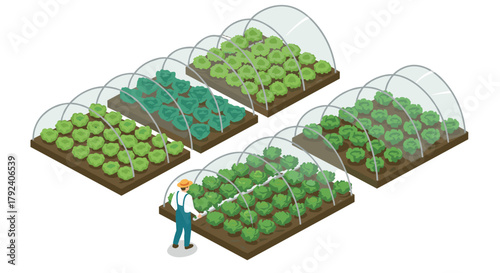 Isometric greenhouse farming with lush vegetables and farmer scene