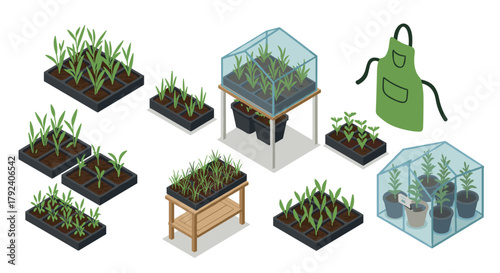 Isometric greenhouse and gardening tools set modern horticulture concepts