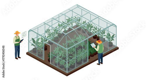 Isometric greenhouse with farmers cultivating plants in controlled environment