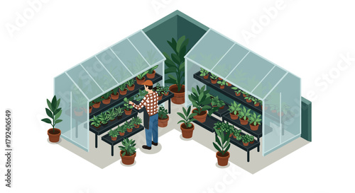 Man caring for indoor plants in isometric greenhouse setting with potted vegetables and greenery